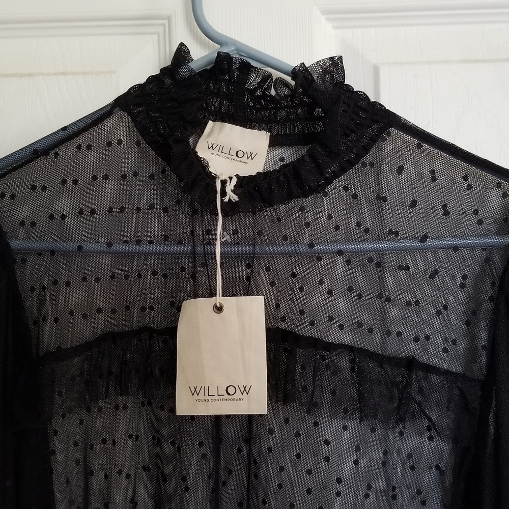 Sheer Blouse - Picture 3 of 3